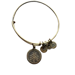 Alex and Ani collectible retired seven swords gold adjustable bracelet